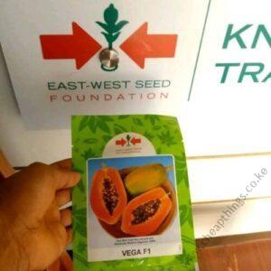 Vega F1 Papaya