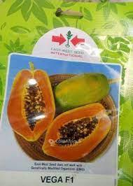 Vega F1 Papaya - 10 Seeds