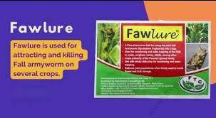 Faw Lure (1pc)