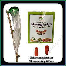 Helicoverpa Lure (1pc)