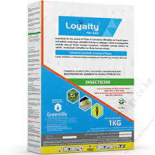 Loyalty 700WDG (5g)