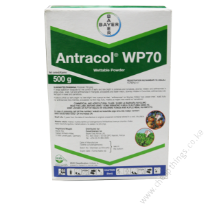 Antracol WP70 - 500g