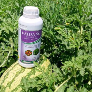 Faida Sc NPK 24:24;18 1L