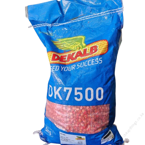 DK 7500 Hybrid Yellow Maize 5Kg