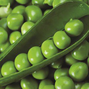 Peas Plum 500g