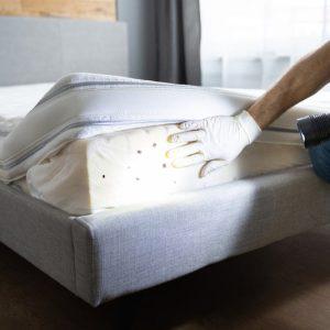 Book Bed Bug Fumigation - Survey
