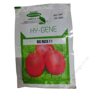Big Rock F1 Tomatoes 2,500 Seeds