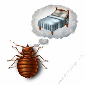 Book Bed Bug Fumigation - Sq.m