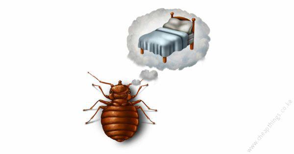 Book Bed Bug Fumigation - Sq.m