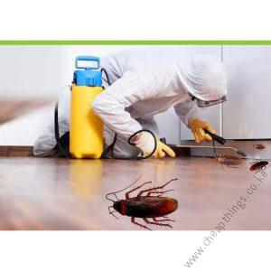Cockroach Fumigation - Survey