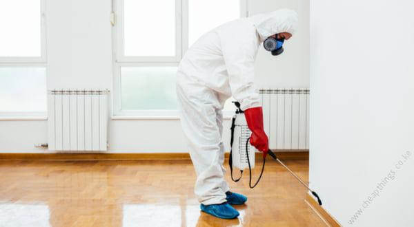 Cockroach Fumigation - Studio