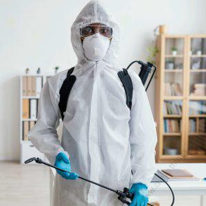 Mosquito Fumigation - Studio