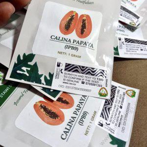 Calina IPB9 Papaya seeds 1g