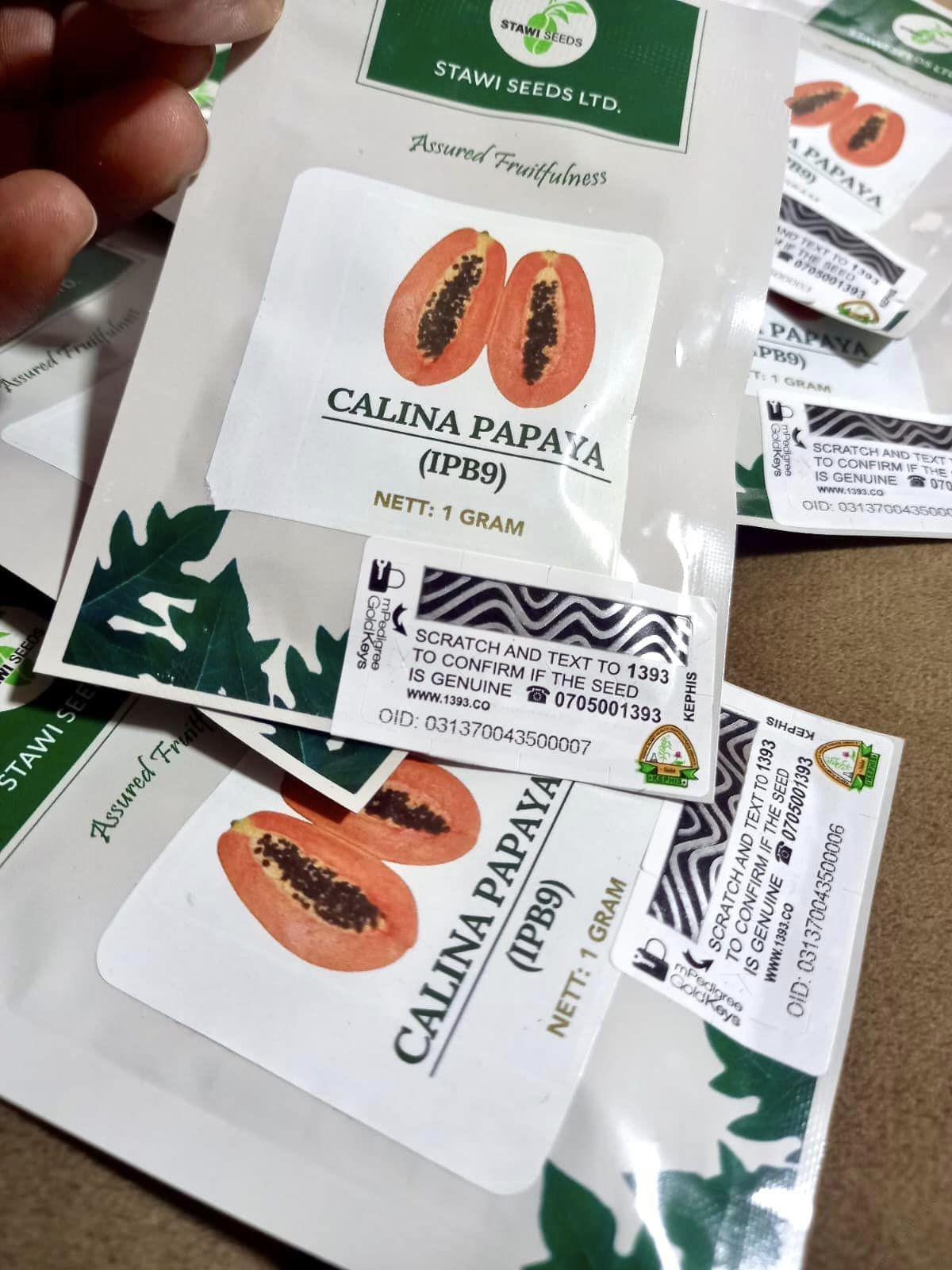 Calina IPB9 Papaya seeds 1g