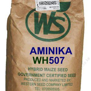 Aminika WH 507 Maize Seeds 2kg