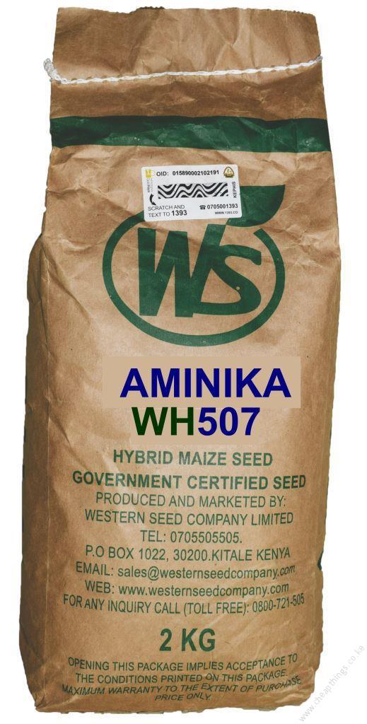 Aminika WH 507 Maize Seeds 2kg