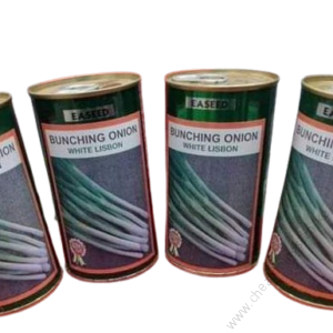 Bunching onion 50g