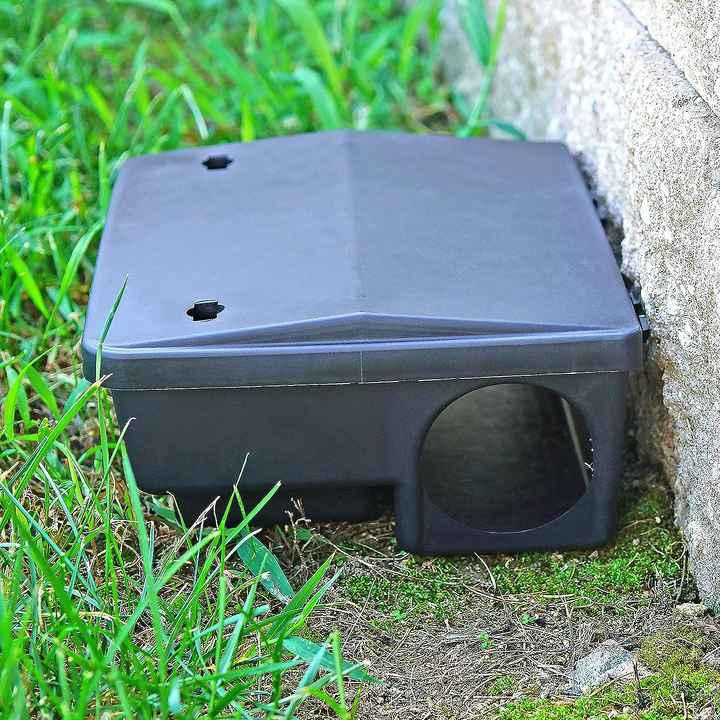 Bait Box - 1pc - Image 3