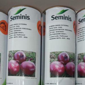 Sv 7030 Onion Seeds 50g