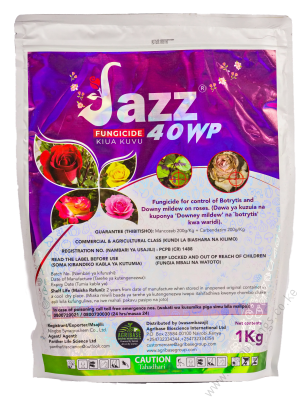 Jazz 40wp 120g