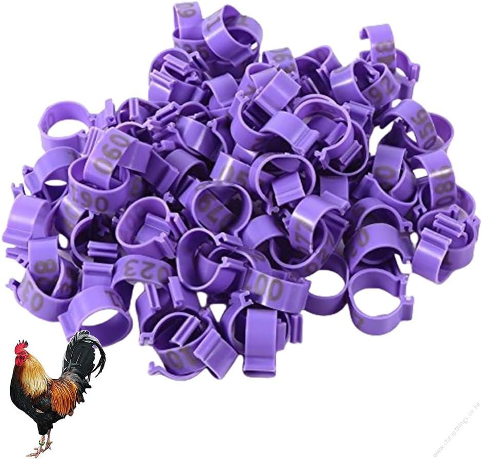 Birds or Chicken Leg Bands Purple 1pc