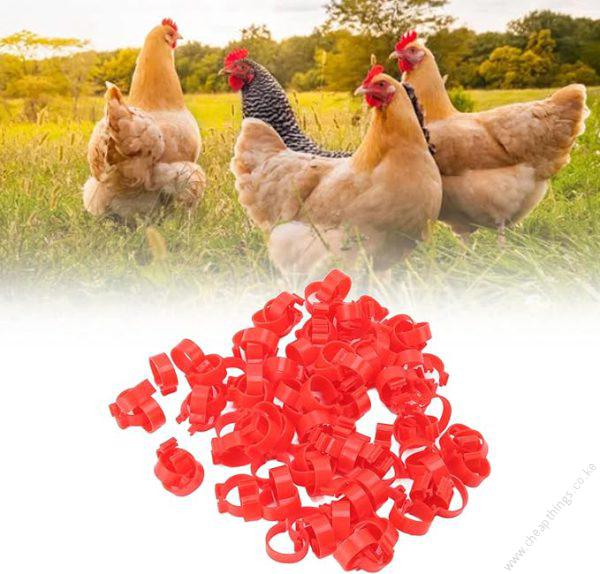 Birds or Chicken Leg Bands Red 1pc