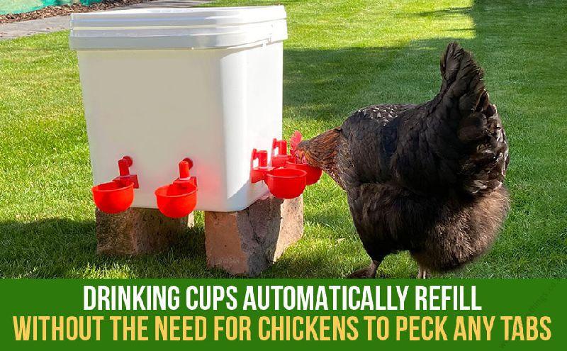 Automatic Poultry Drinker Cups for Hens, Ducks, Quails, Pigeons / Self-Refilling Water Dispenser / Bee Waterer, Bee Watering Station - Image 6