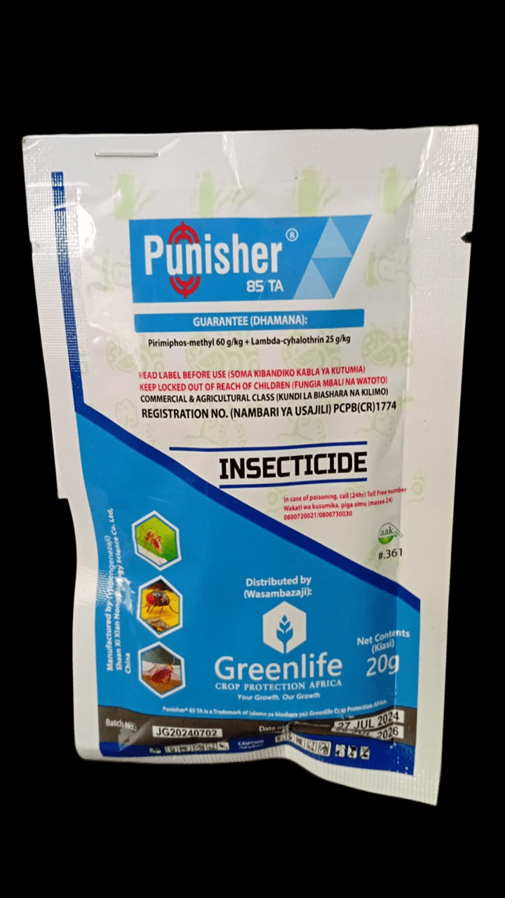 Punisher 85 TA Insecticide 20g