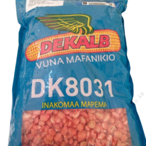DK 8031 Hybrid Maize Seeds 2kg