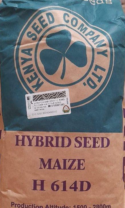 H 614D Maize Hybrid Seed 2kg