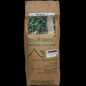 Royal Seed Maize 5101 (WE 2109)