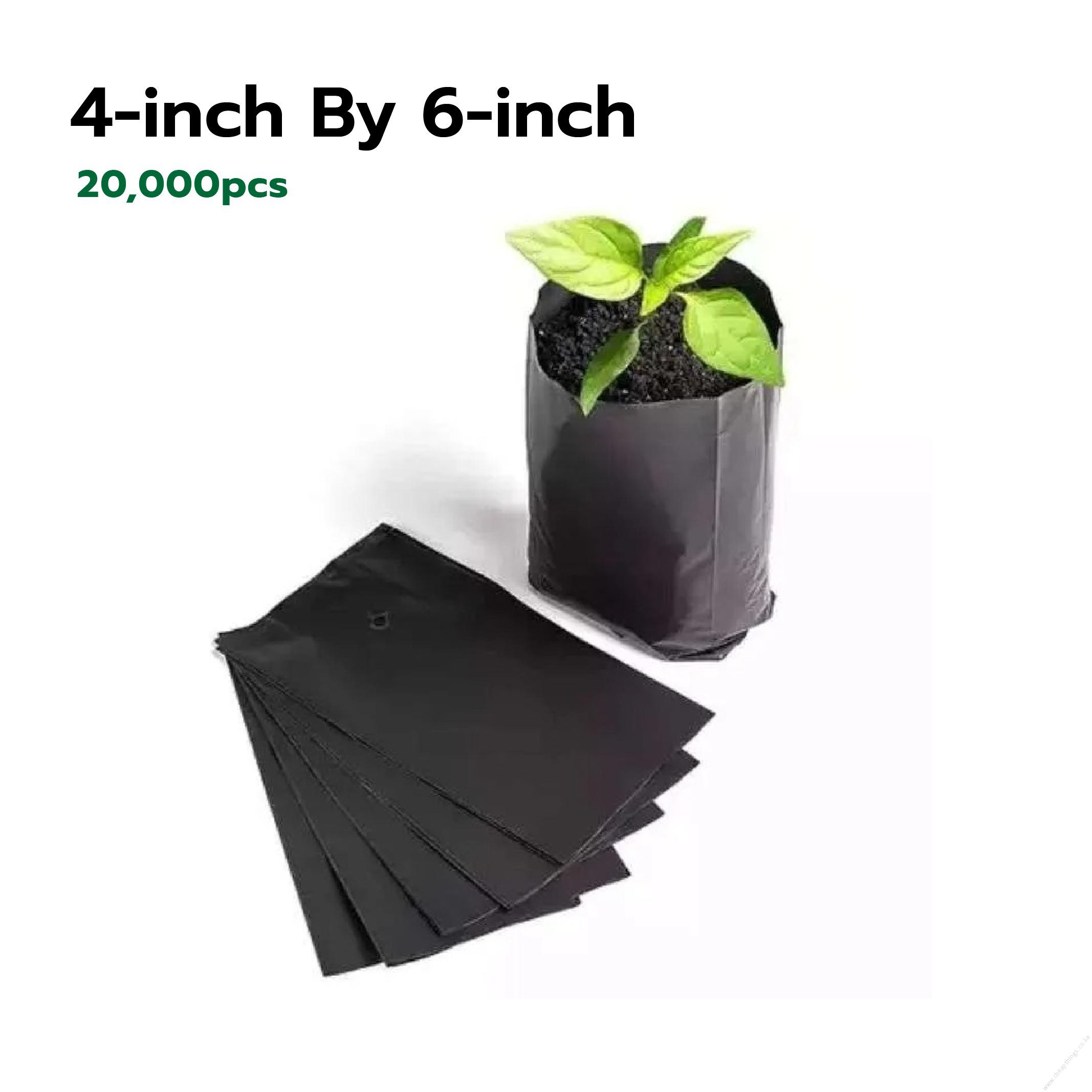 Seedling Bags 4x6 (Packet of 20,000 Pieces)