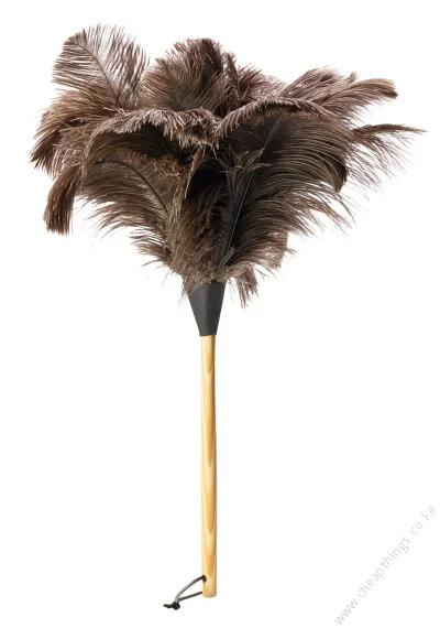 Feather Duster